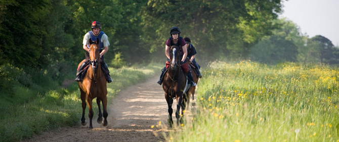 Sand gallop