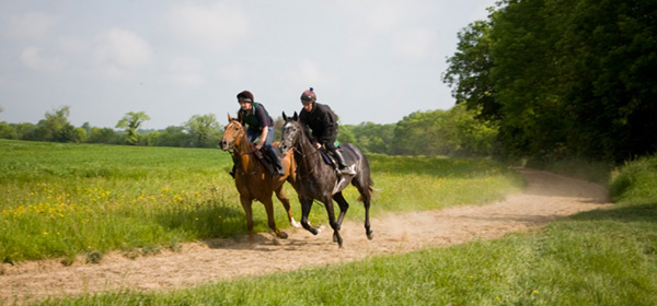 Gallery of Dreaper Racing images