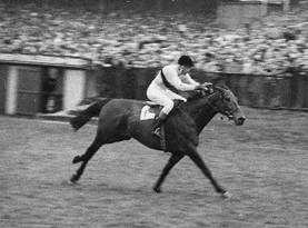 Arkle